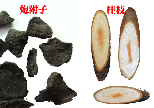 金匮肾气丸是治阳虚还是阴虚,金匮肾气丸能治肾阳虚和肾阴虚吗