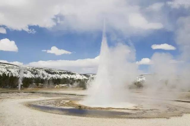 欧洲杯冰岛去哪了,欧洲杯冰岛