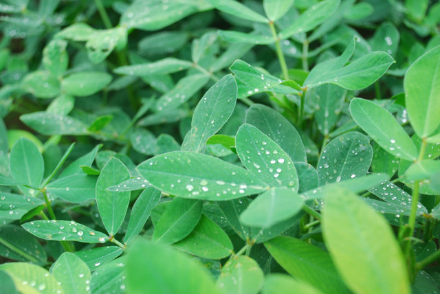江畔论道：被失眠折磨一年，用八天自我救赎