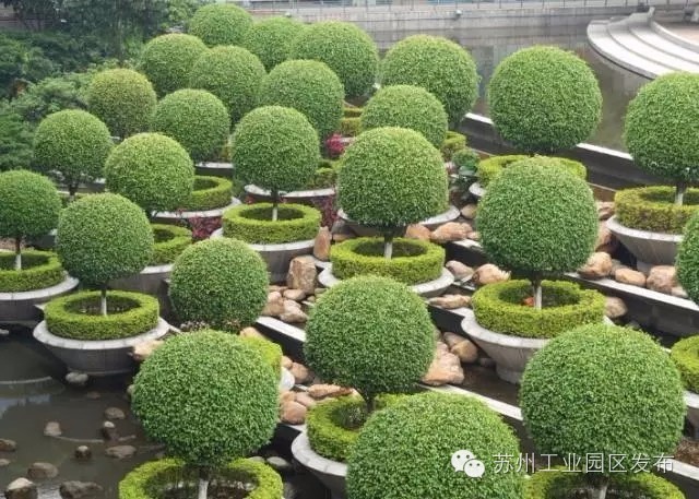 *力暴**梅来袭！园区人请收好这份防霉攻略，全是专家推荐的干货！