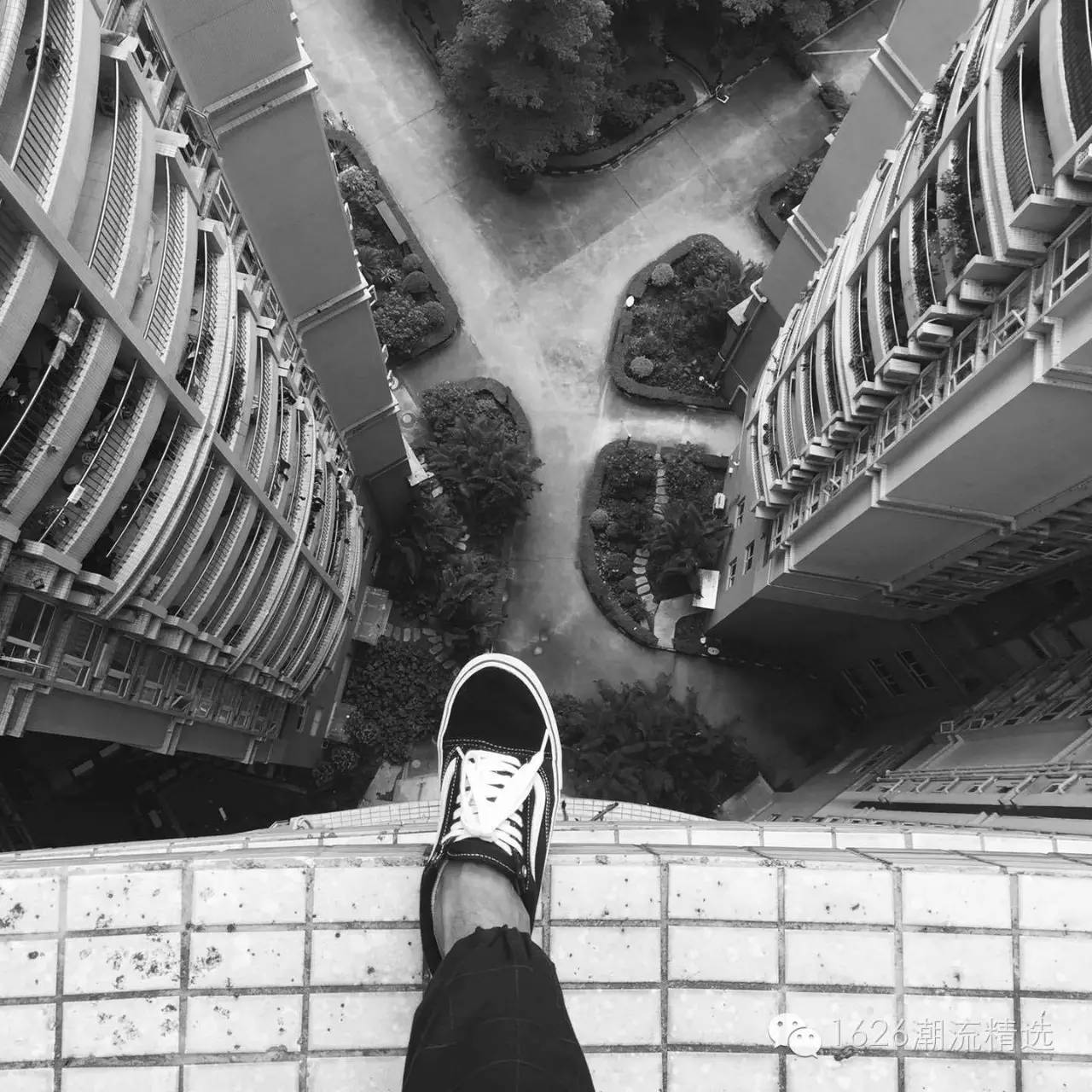 啪秘｜快上车！你们期待已久的VANS来了