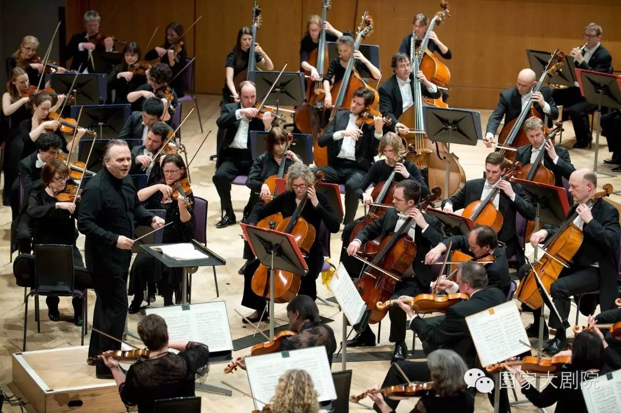 盛夏的狂欢陈冰,夏季的狂欢球迷的足球盛宴