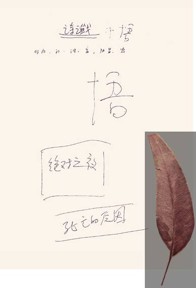 张枣：生活啊，快递给我的手