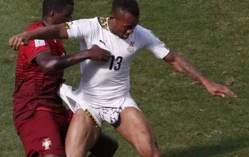 瑞士队视频,瑞士牧羊犬幼犬怎么看纯不纯