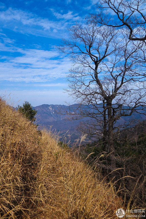 icebreaker滑雪服,icebreaker黑色保暖衣