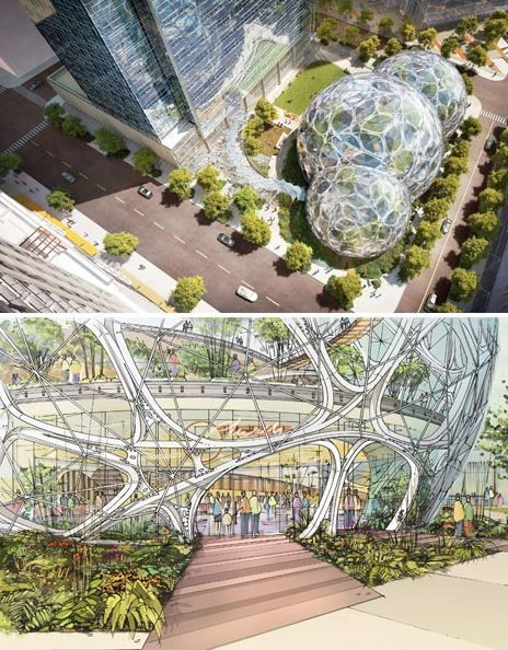 亚马逊植物图片,亚马逊新图像