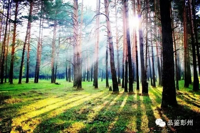 为了来彭州，彭山人笑了；为了来彭山，彭州人笑了