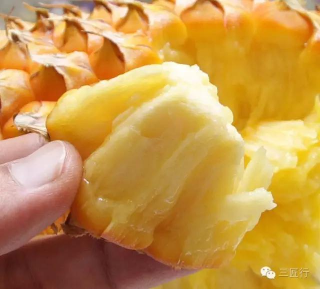 怎么分别凤梨和菠萝,凤梨和菠萝是同一个品种吗