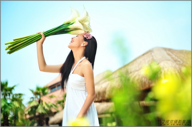 v2视觉婚纱摄影风格,婚纱摄影多元素摄影推荐