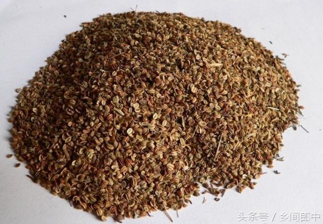 外邪侵袭的白带异常，三种中药可以治愈