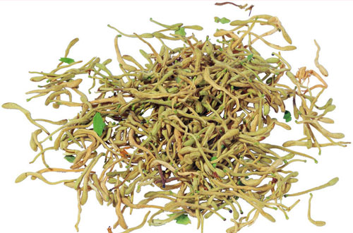 清胎毒最好的土方法,胎毒怎样清