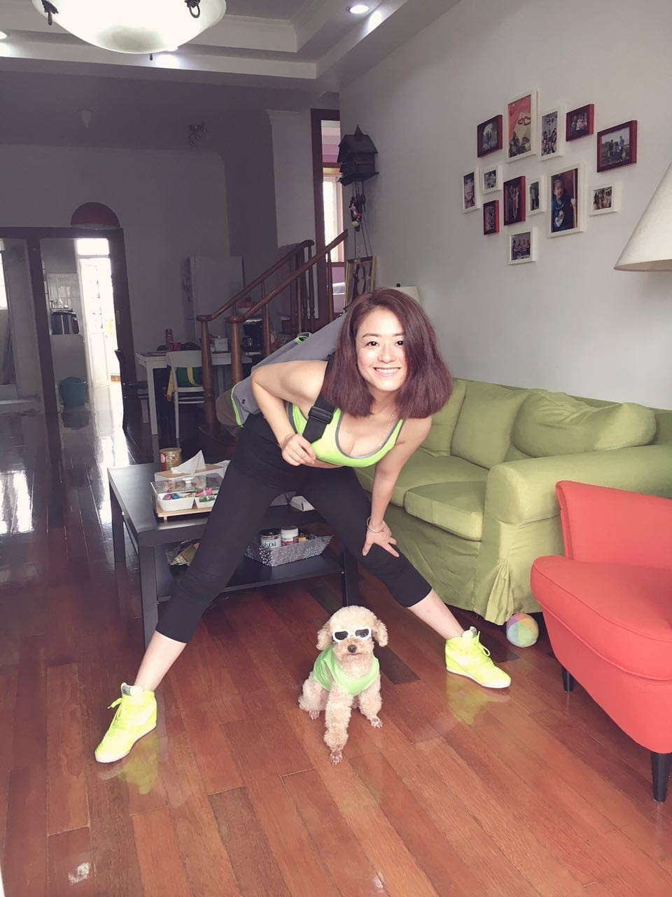 救助流浪猫狗视频,上海流浪猫狗救助中心