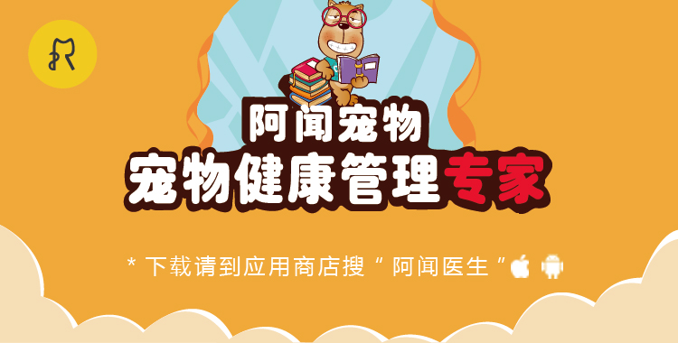 警惕这10种常见的东西是猫的毒药,警惕50种有毒植物