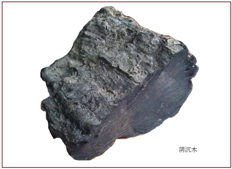 金丝楠木是高档家具材料吗,金丝楠木哪个朝代开始流行的