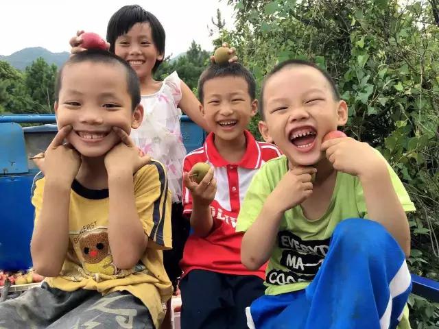 优秀手机摄影作品的五个要素,手机拍的作品