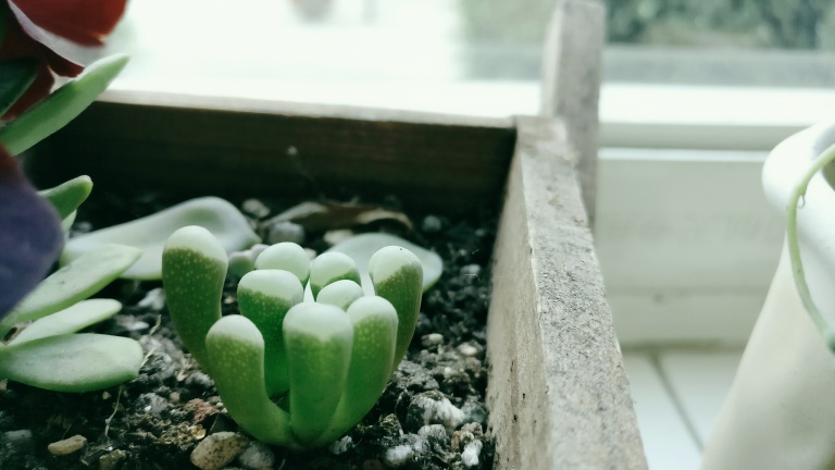 上手体验感好手机,上手体验好的手机