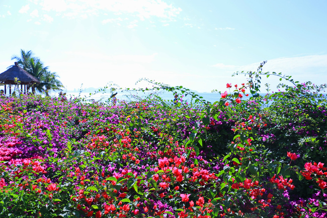 用味蕾感受爱情的酸甜苦辣,用味蕾感受美食独特的魅力