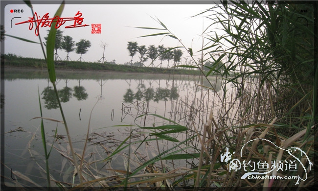 马踏湖国家湿地公园远足,马踏湖国家湿地公园游览路线