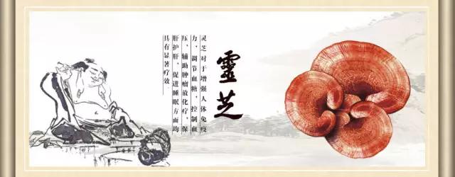 灵芝孢子粉对头晕有效吗,头晕眩晕吃灵芝孢子粉可以吗