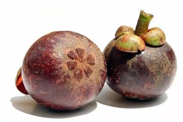 那些年吃过的山竹,山竹怎样选母的