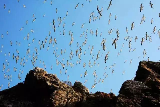 山东青岛威海长岛旅游攻略,青岛烟台威海蓬莱长岛8日游攻略
