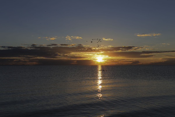 青海小环线黑马河看日出最佳地点,青海湖断崖看日出攻略