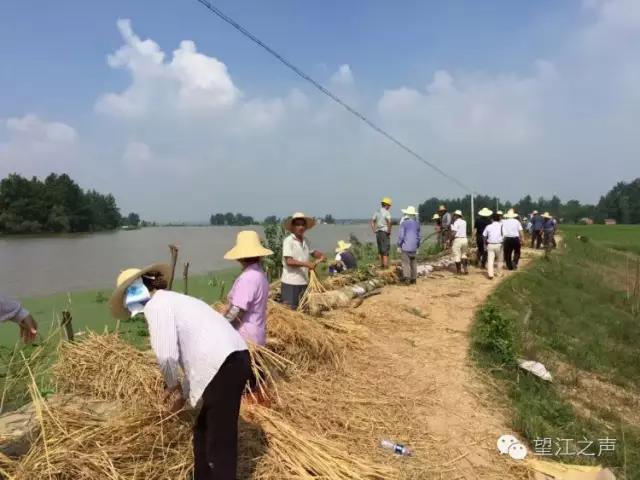 巾帼不让须眉英姿飒爽花木兰,巾帼不让须眉的女英雄花木兰