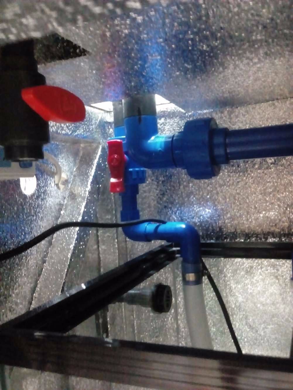 没养鱼有油膜,没养鱼只是在岸上走