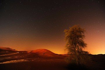 迪拜自驾旅游攻略最新,迪拜自驾游旅游攻略大全