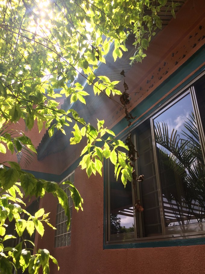 【非洲璀璨明珠】乌干达生活旅游指南