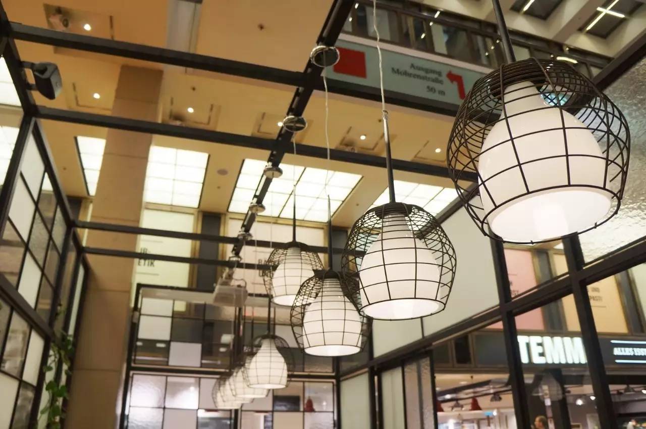 温故知新全文阅读,温故知新最新完整视频