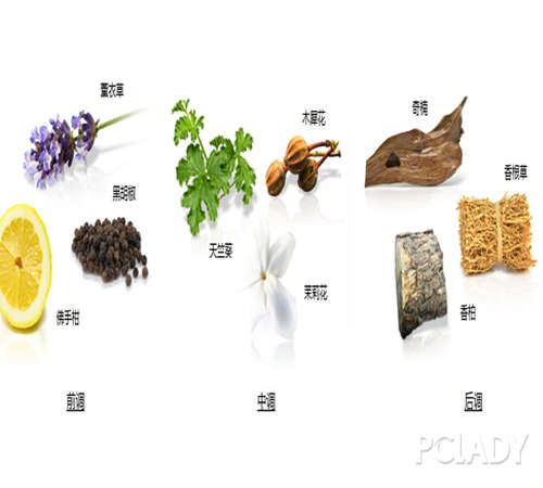 新年香氛挚爱献礼AmazingLangLang魅力郎朗香水上市