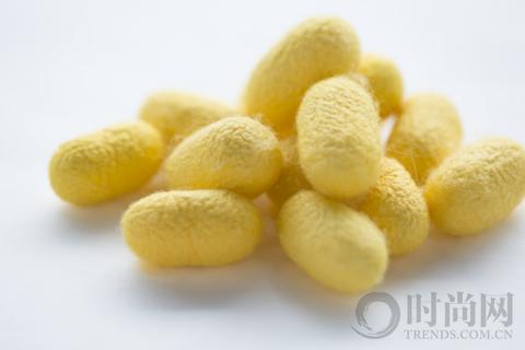 莹透净澈光采洋溢幻亮新生耀现美肌光采基础护理系列全新上市