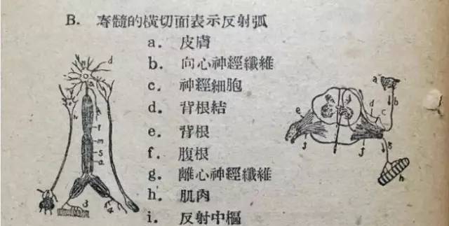 国立中央大学1933年试卷,国立中央大学试题