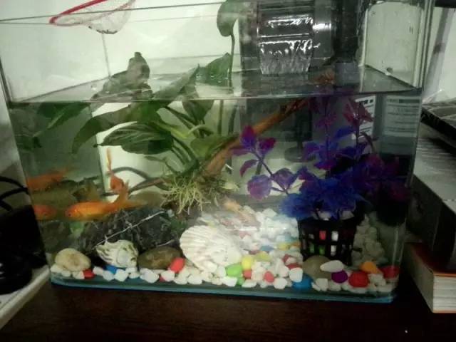 新手独白总结一下那些年我们犯过的错