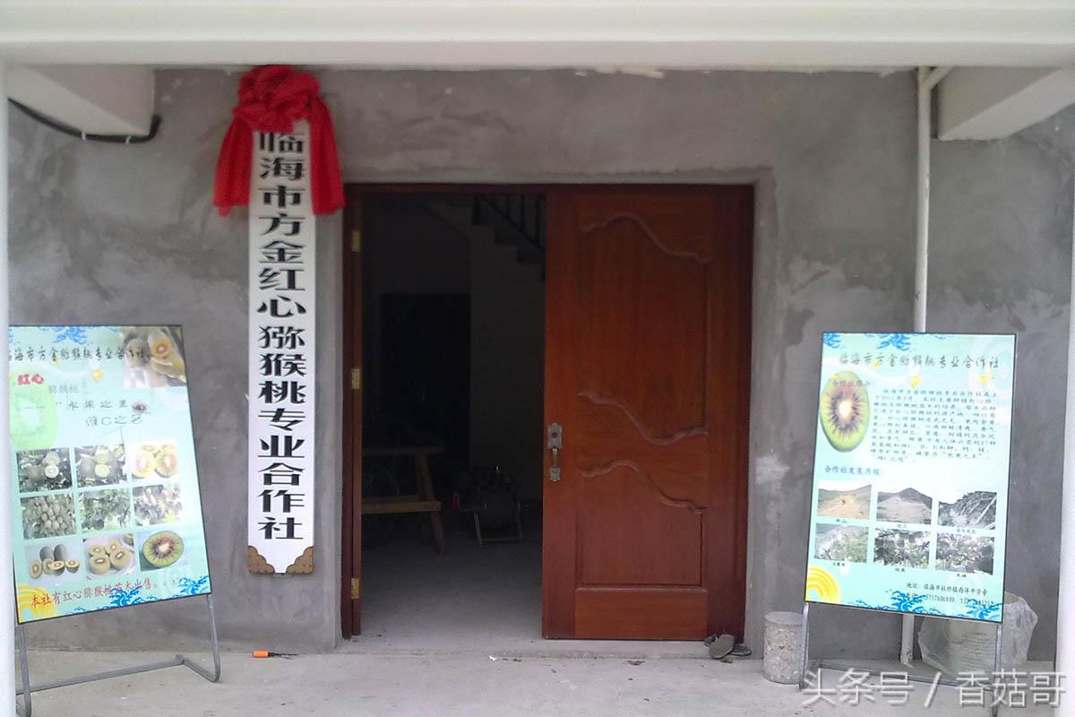 猕猴桃一般是从哪里进来的,你知道猕猴桃是哪来的吗