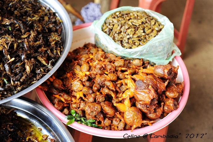 柬埔寨游玩推荐,柬埔寨旅游必去的九大绝佳景点