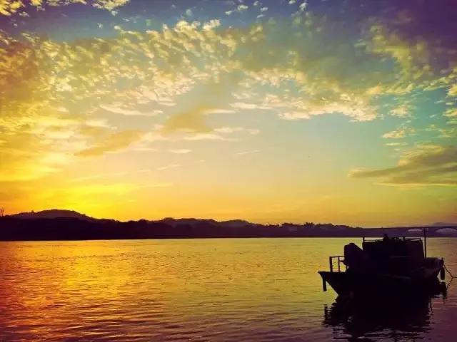 优秀手机摄影作品的五个要素,手机拍的作品