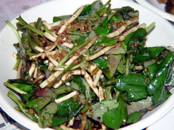 咽喉炎咳嗽最有效茶饮,风热咳嗽咽喉炎吃什么药