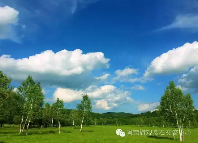 阿荣旗呼伦贝尔,呼伦贝尔市阿荣旗美景