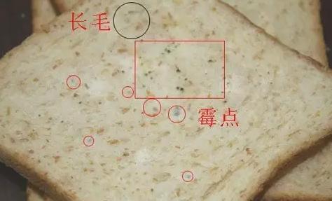 哈尔滨这家烧烤店的烤品变质长毛，经理说：吃出问题我承担！