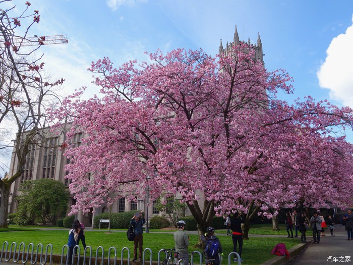 2019纽约车展英菲尼迪qx70,英菲尼迪fx35车主用车感受