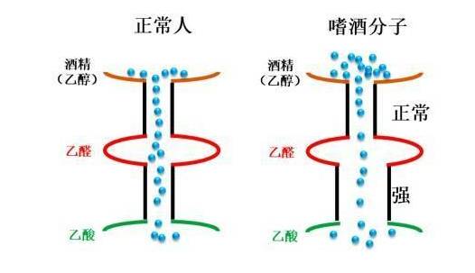 喝酒脸红的人到底能不能喝牛奶,喝酒脸红的人到底能不能喝图片