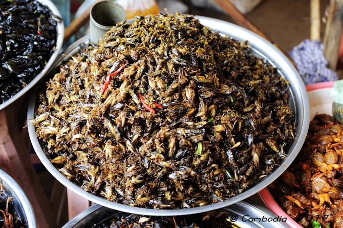 柬埔寨游玩推荐,柬埔寨旅游必去的九大绝佳景点