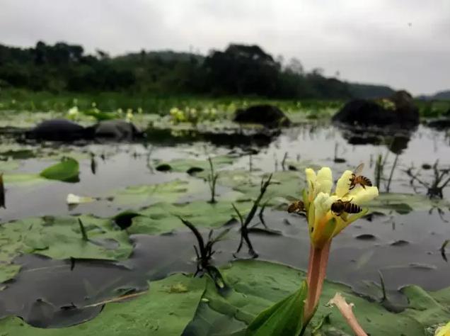 被遗忘的海南,海南被遗忘的浪漫之地