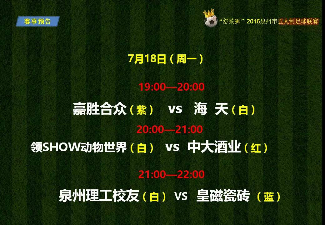 2017年泉州足球比赛,舒莱狮足球锦标赛