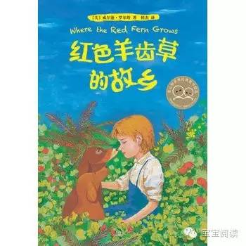 100本最佳儿童小说原版收藏,100本给孩子最棒的书