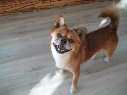 五毛钱是用金子做的吗,五毛钱可以值多少钱