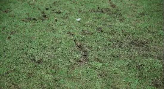 登巴巴冬窗离队,登巴巴断脚德比