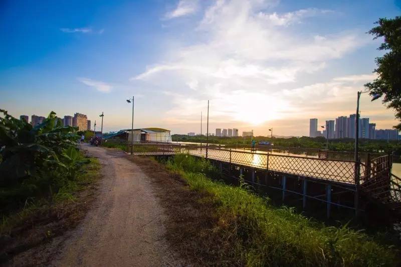 顺德农庄美食推荐,顺德有哪些好吃的山上农庄